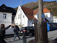 Riggen bedugger treet i 2010. Foto: Mona Lygre.